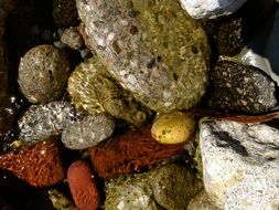 Different colorful rocks in the water