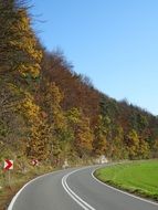 landscape of Road and trees in the autumn