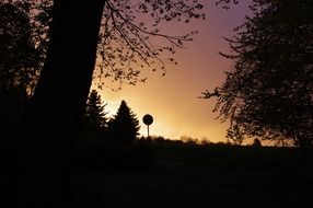 sunset over the forest edge