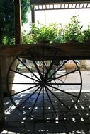 old cart as a showcase