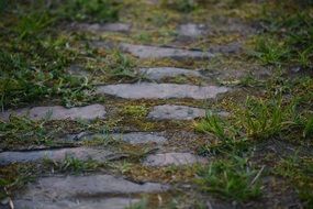 alter weg stones in green grass