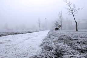 black and white magic of winter