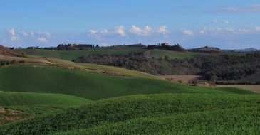 green fields in scenic countryside, italy,Sienna