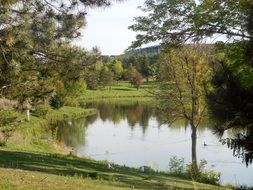 Pond in the park