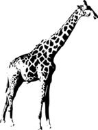 giraffe, side view of wild animal, digital art