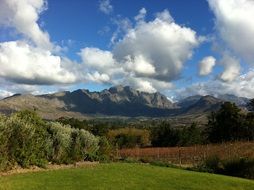 vineyards in south africa