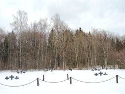 cemetery in winter