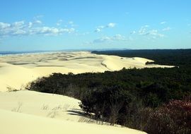 landscape of the sand dunes