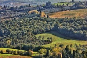 scenic landscape of Tuscany, Italy