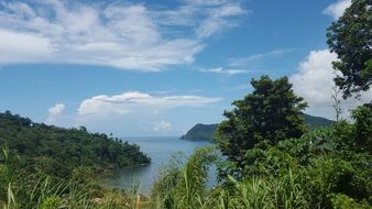 beautiful seascape on a background of green trees