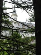 landscape of fairy castle behind the trees