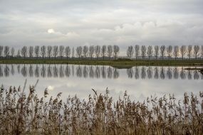 Trees Reflection on water surface Cloud sky view