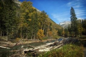 brook in autumn landscape of montana
