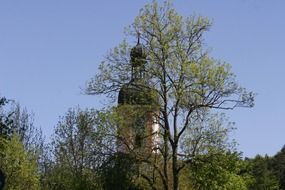 view of the church through the trees in Shambahe, altmuhltal nature park