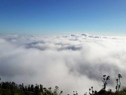 Beautiful landscape of the green hill reaching the white clouds