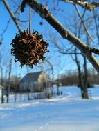 Barn in winter