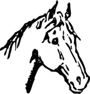 horse head, black and white drawing