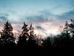 perfect clouds sky evening