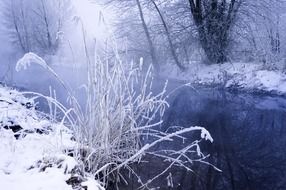 snowy winter landscape frozen branches