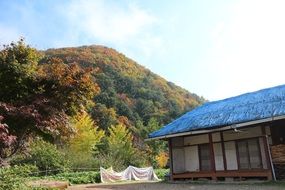 house near trees in autumn