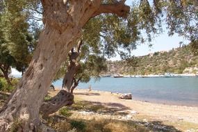 landscape of the river bed in Turkey