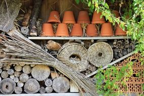 Gotel for insects