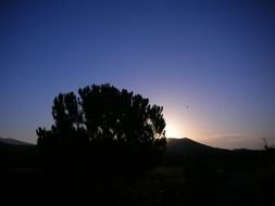 sunset the backlight nature