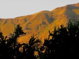 panorama of yellow-green mountains