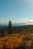 panorama of the autumn forest in Saint Elias Mountains