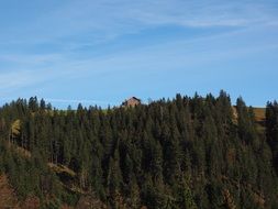 top of the mountain with trees in switzerland