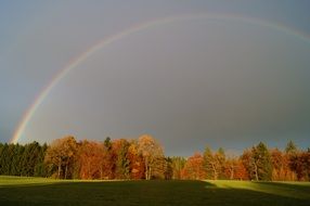 rainbow over the forest after rain