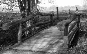 Wooden bridge in forest hamburg