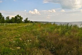 meadow at river, summer landscape