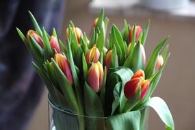 spring bouquet of tulips in a vase