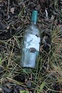 empty glass bottle among the dry leaves