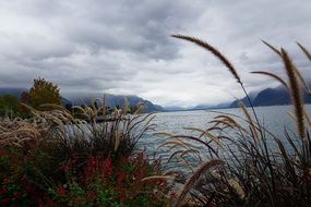 Grass in front of lake Cloud sky landscape