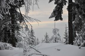 charming winter in the mountains