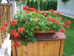 summer flowers as home decoration