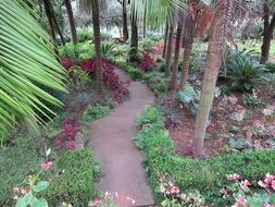 beautiful well-kept garden with plants