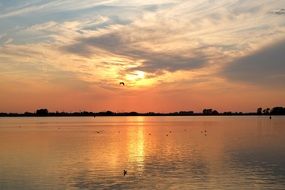 seagulls swim in the river against the backdrop of a romantic sunset