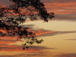 autumn sunset with golden clouds