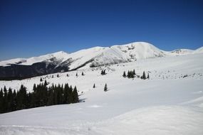 gorj mountains in Romania