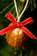 golden walnut with red bow on christmas tree close up