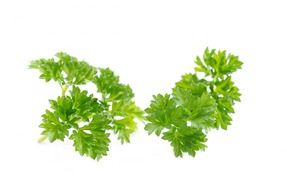 italian parsley leaves