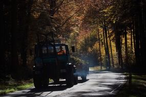 road unimog vice forest