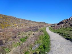 trail in the landscape of cornwall