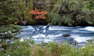 Water horse abstraction in river forest