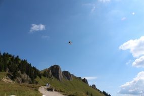 Close-up of the beautiful yellow hoverfly in the blue sky above the beautiful landscape