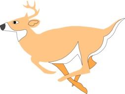 Beautiful illustration of the cute white and orange running deer at white background