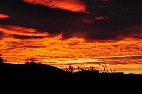 photo of a fiery sunset over the evening forest